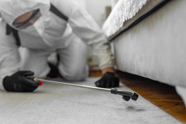 Professional Termite Control technician working in Centerville, PA